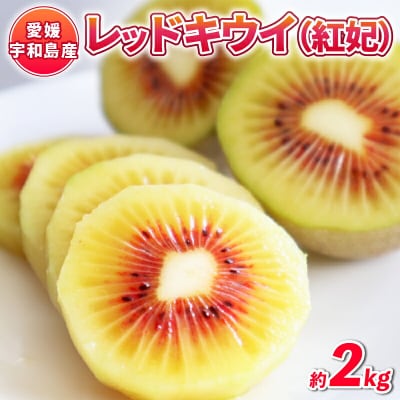 レッドキウイ紅妃 2kg Shirai.agrifarm F012-115001 