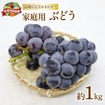 家庭用 ぶどう1kg マル南フルーツ F010-106031