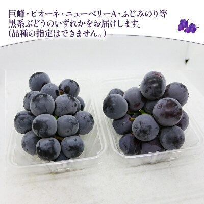 家庭用 ぶどう1kg マル南フルーツ F010-106031