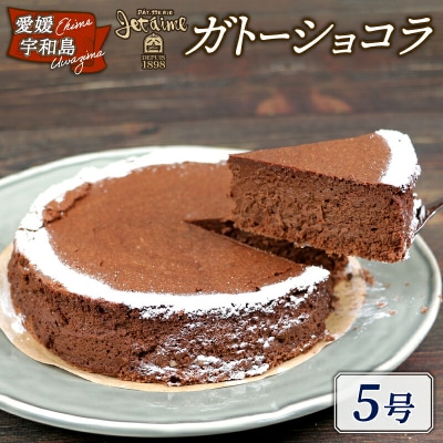冷凍ケーキ ガトーショコラ 5号 1ホール 寿提夢 J010-097005