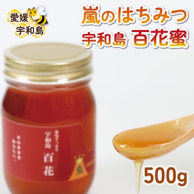 嵐のはちみつ 天然100%【宇和島 百花蜜】 みつばち屋嵐 F010-129002