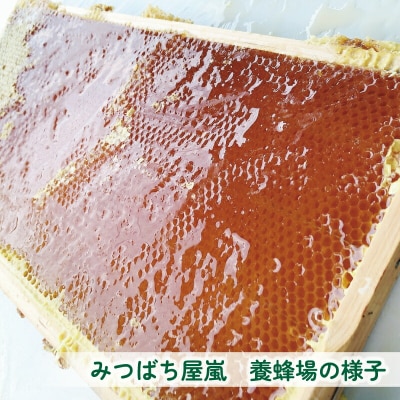 嵐のはちみつ 天然100%【宇和島 百花蜜】 みつばち屋嵐 F010-129002