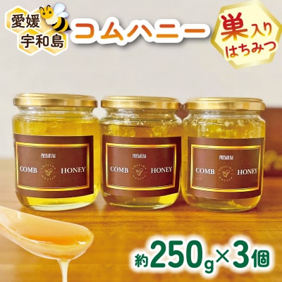 コムハニー 250g×3本セット 宇和島農産 F025-132013
