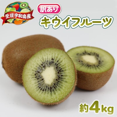 Smile Orange 訳あり キウイフルーツ 4kg 杉本屋 F012-143002