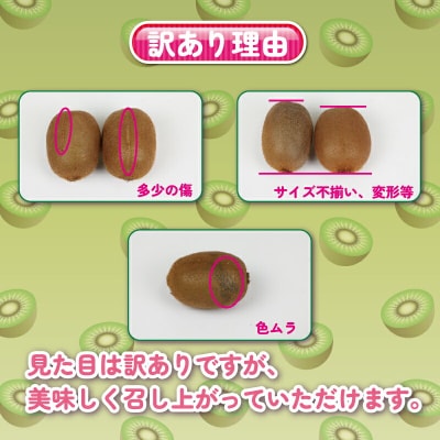 Smile Orange 訳あり キウイフルーツ 4kg 杉本屋 F012-143002