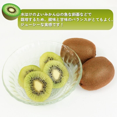 Smile Orange 訳あり キウイフルーツ 4kg 杉本屋 F012-143002