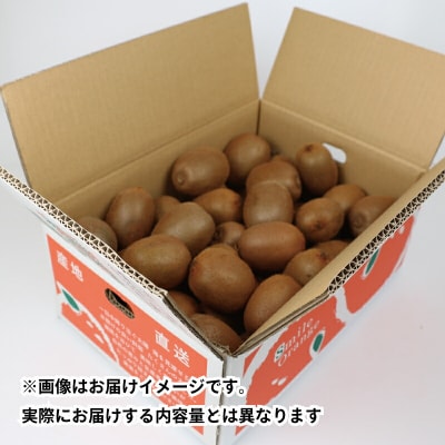 Smile Orange 訳あり キウイフルーツ 4kg 杉本屋 F012-143002