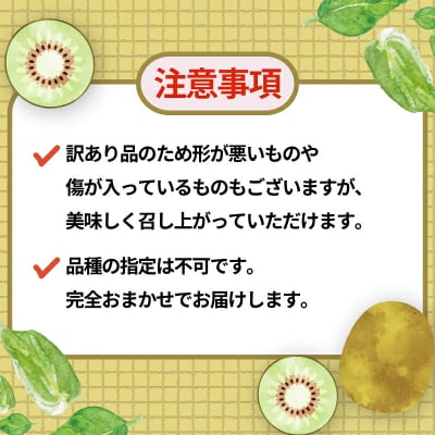 訳あり レッドキウイ 2kg マル南フルーツ F010-106029