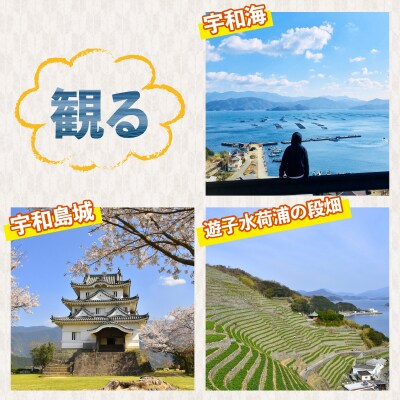 宇和島産干し芋 ひがしやま 紅はるか 南予ファーム F010-082005