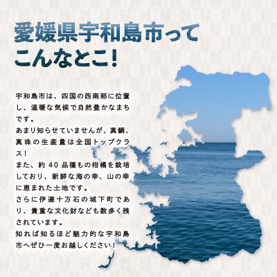 宇和島産 干し芋 ひがしやま 安納芋 南予ファーム F010-082006