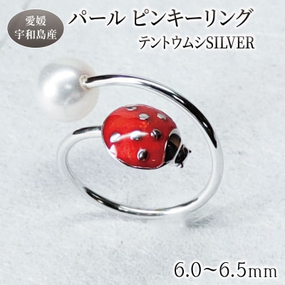 SVパールピンキーリング テントウムシ 暁工房 A040-002022