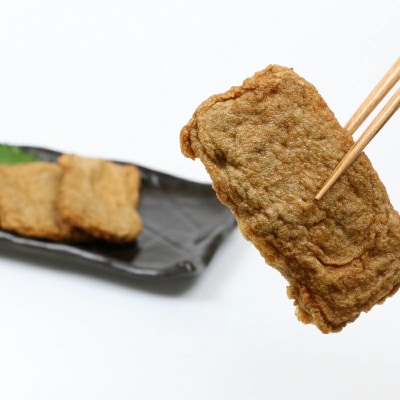 じゃこ天 10枚 身天ぷら 5枚 セット 森本蒲鉾店 練り物 練物 天ぷら C010-046004