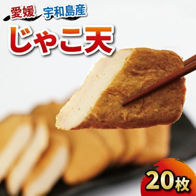 じゃこ天 20枚 中村かまぼこ店 すり身 練り物 天ぷら C012-013003