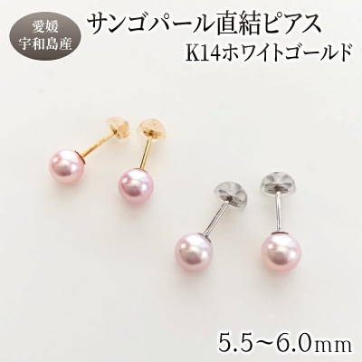 サンゴパール直結ピアス(K14WG) 松本真珠 A170-068008
