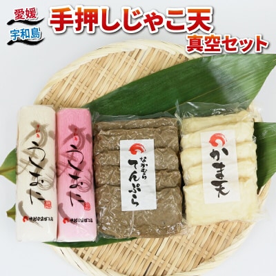 手押しじゃこ天 真空セット 中村かまぼこ店 C010-013006