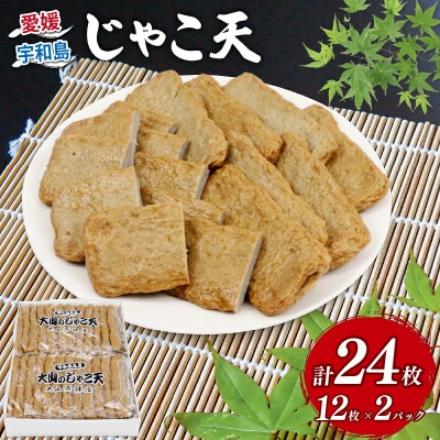じゃこ天 24枚 大山かまぼこ店 C010-007002