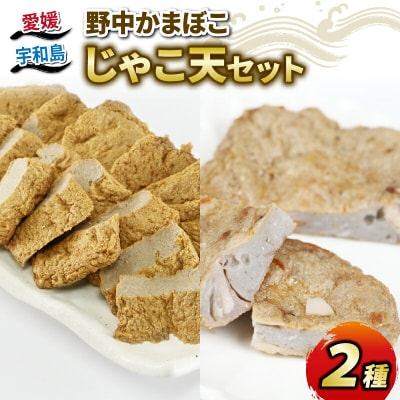 じゃこ天2種 野中かまぼこ店 C010-014003