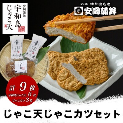 じゃこ天・じゃこカツセット 安岡蒲鉾店 C010-020008
