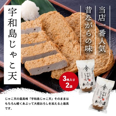 じゃこ天・じゃこカツセット 安岡蒲鉾店 C010-020008