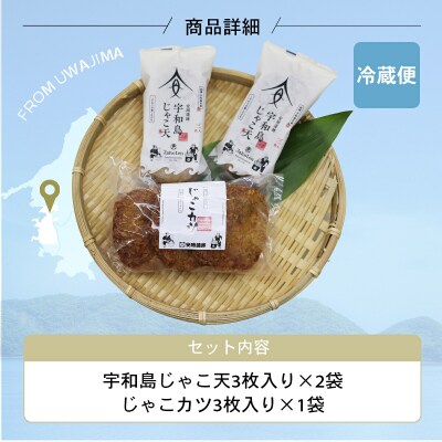 じゃこ天・じゃこカツセット 安岡蒲鉾店 C010-020008