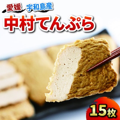 中村てんぷら 15枚 中村かまぼこ店 C012-013004