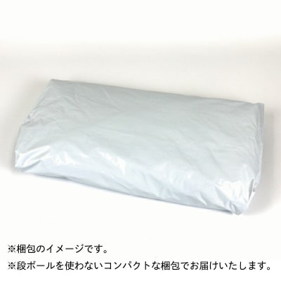 中村てんぷら 15枚 中村かまぼこ店 C012-013004