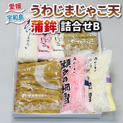 うわじまじゃこ天・蒲鉾詰合せB 中村かまぼこ店 C018-013002
