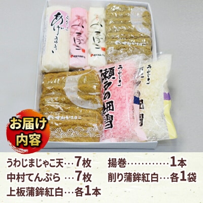 うわじまじゃこ天・蒲鉾詰合せB 中村かまぼこ店 C018-013002
