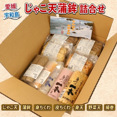 じゃこ天蒲鉾詰合せ 森本蒲鉾店 C020-046001