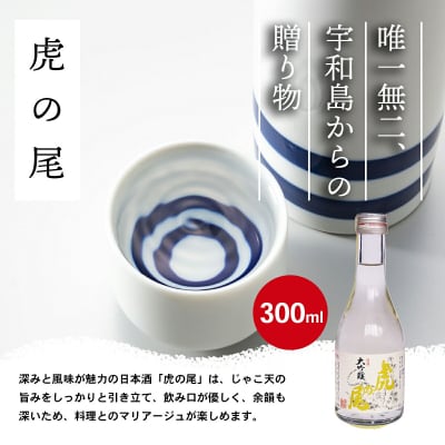 宇和島じゃこ天・日本酒ギフト 安岡蒲鉾店 C018-020005