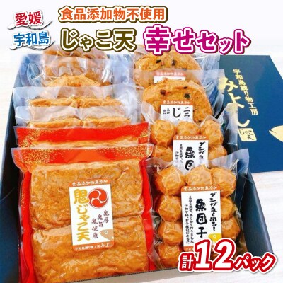 じゃこ天 幸せセット 宇和島練り物工房みよし C022-061003