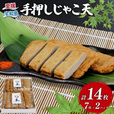 手押しじゃこ天 14枚 大山かまぼこ店 C010-007003