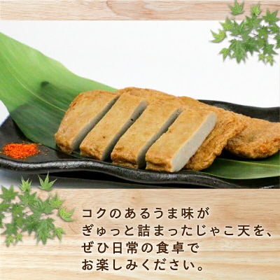 手押しじゃこ天 14枚 大山かまぼこ店 C010-007003