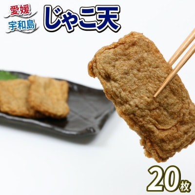 じゃこ天20枚詰合せ 森本蒲鉾店 C012-046002