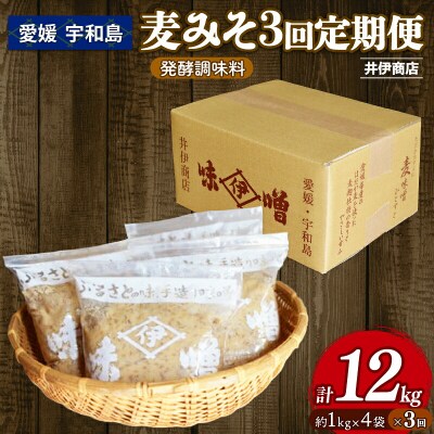 麦みそ(発酵調味料)3回定期便 井伊商店 J029-108003