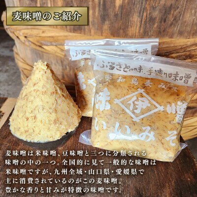麦みそ(発酵調味料)3回定期便 井伊商店 J029-108003