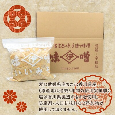 麦みそ(発酵調味料)3回定期便 井伊商店 J029-108003