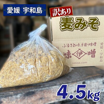 訳あり 麦みそ 発酵調味料 4.5kg 井伊商店 J010-108002