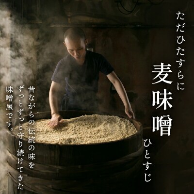 訳あり 麦みそ 発酵調味料 4.5kg 井伊商店 J010-108002