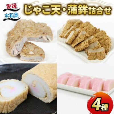 宇和島 じゃこ天 蒲鉾 4種 詰合せ 野中かまぼこ店 C020-014004