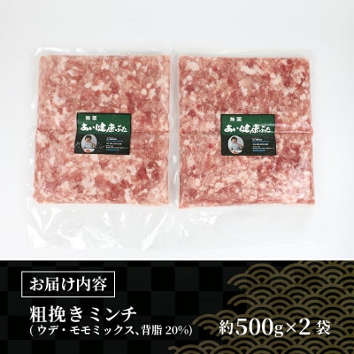 ミックス ミンチ 約 500g × 2袋 計1kg あい健康豚 あい健康牧場 E012-154007