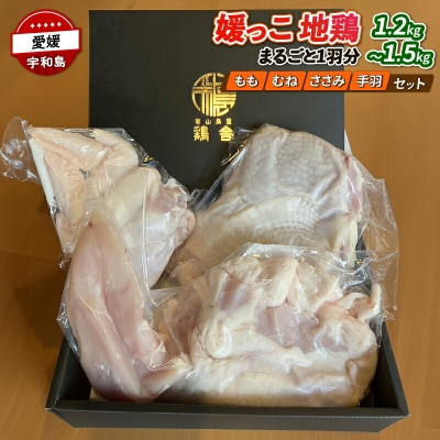 国産地鶏 地鶏 媛っこ地鶏 1羽分 1.2～1.5kg 寒山鳥聲 鶏舎 E018-089004