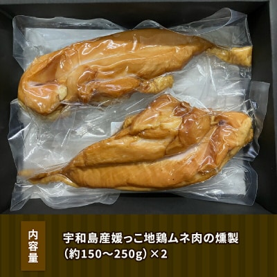 国産鶏肉 燻製 セット 媛っこ地鶏 150g~250g ×2 寒山鳥聲 鶏舎 E010-089001