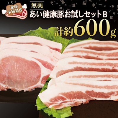 無薬 豚肉 お試し セット B 計600g あい健康豚 ブランド豚 E012-154002