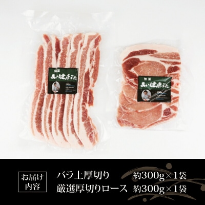 無薬 豚肉 お試し セット B 計600g あい健康豚 ブランド豚 E012-154002