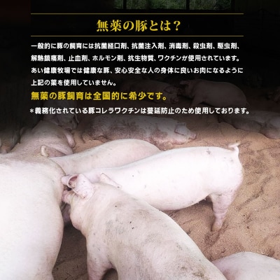 焼肉 セット 豚肉 計約 1.5kg あい健康豚 BBQ 愛媛 宇和島 E024-154004