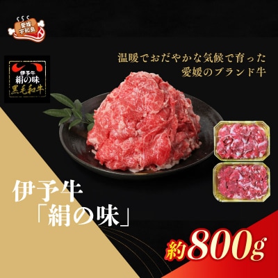 黒毛和牛  計800g 伊予牛 絹の味 全国農業協同組合連合会 愛媛県本部 E036-193002 