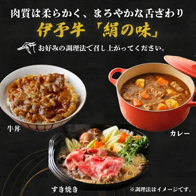 黒毛和牛  計800g 伊予牛 絹の味 全国農業協同組合連合会 愛媛県本部 E036-193002 