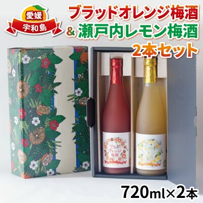 ブラッドオレンジ梅酒 & 瀬戸内レモン梅酒 2本セット 名門サカイ I018-085003