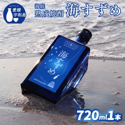 海底熟成焼酎 海すずめ 720ml 1本 名門サカイ I015-085006